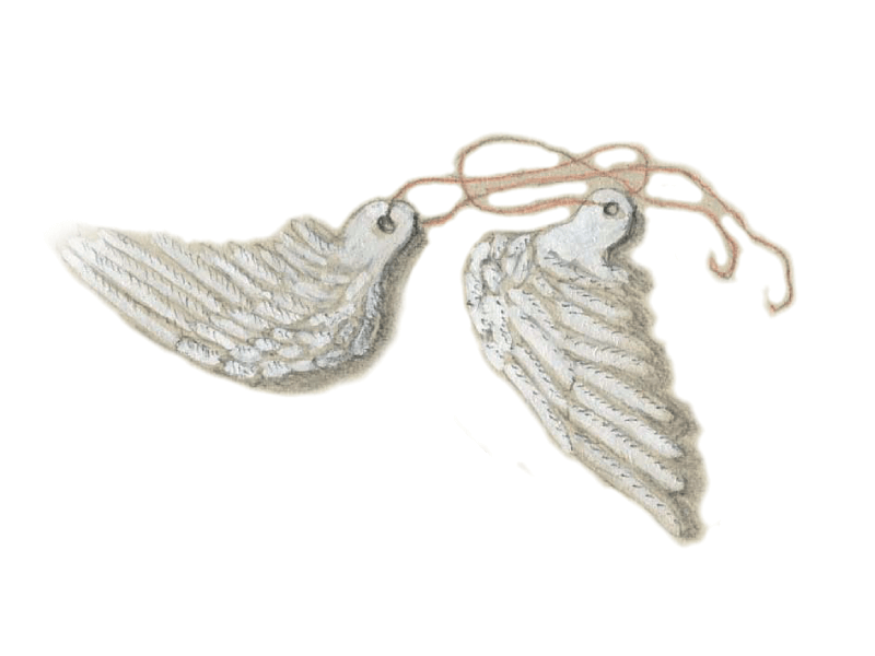 illustration